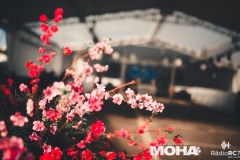 MohaFestival2-333